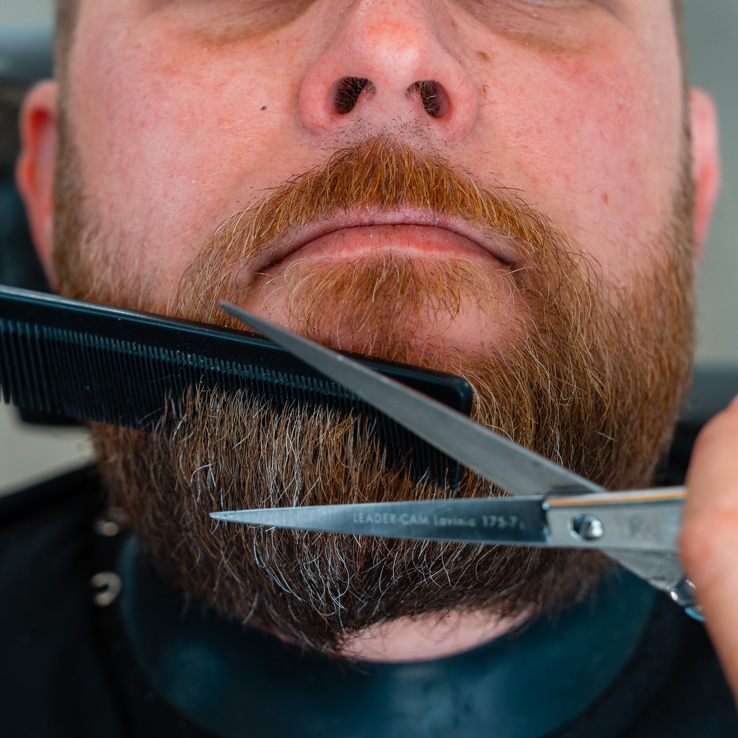 Beard trim Papamoa